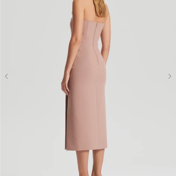 Scanlan Theodore Cady Strapless Nude Dress - Picture 4 of 8